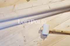 loftpol-2